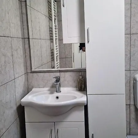 Boris Apartament Donji Karin